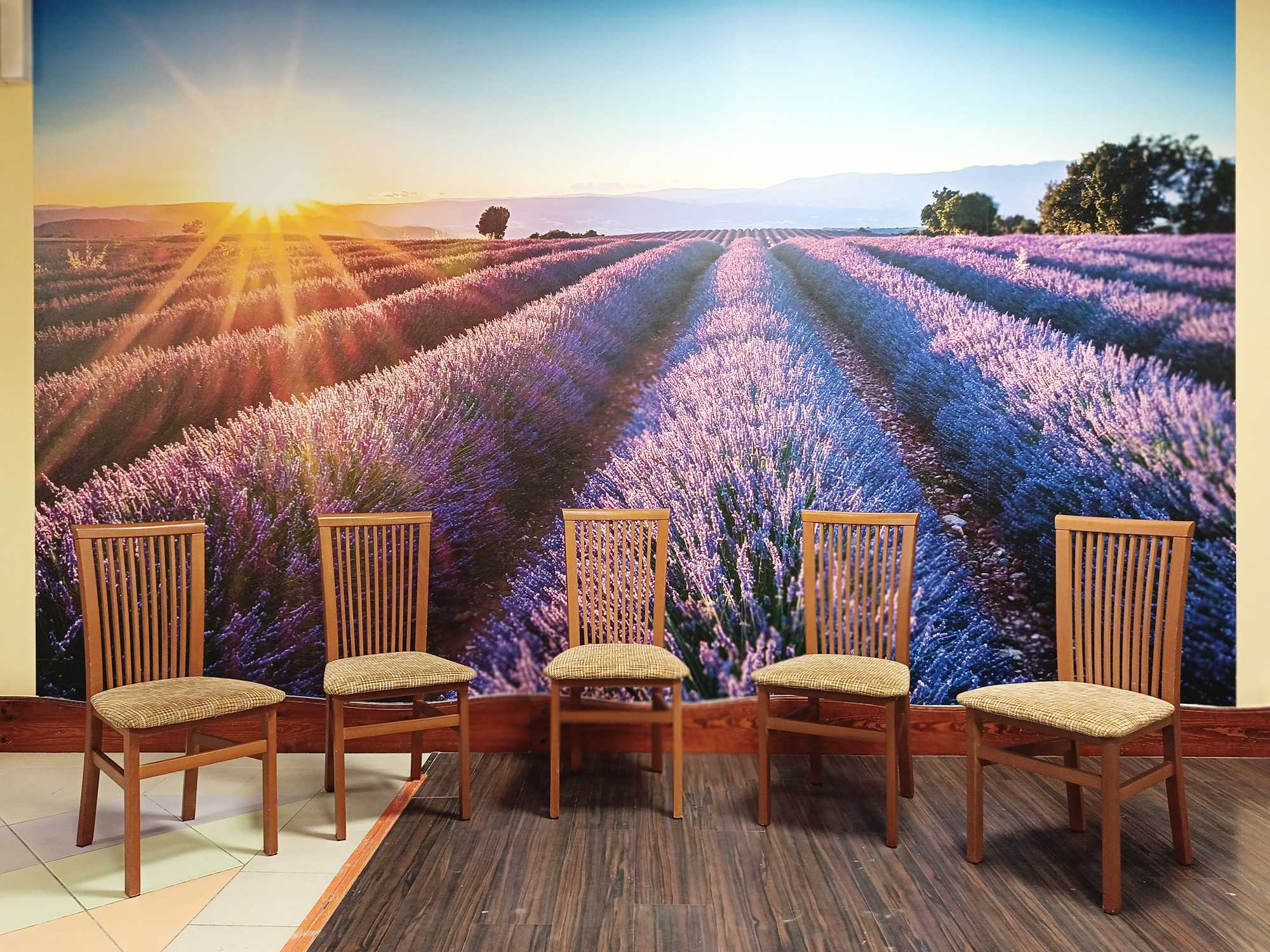 Lawendowe pole i sala spotkań